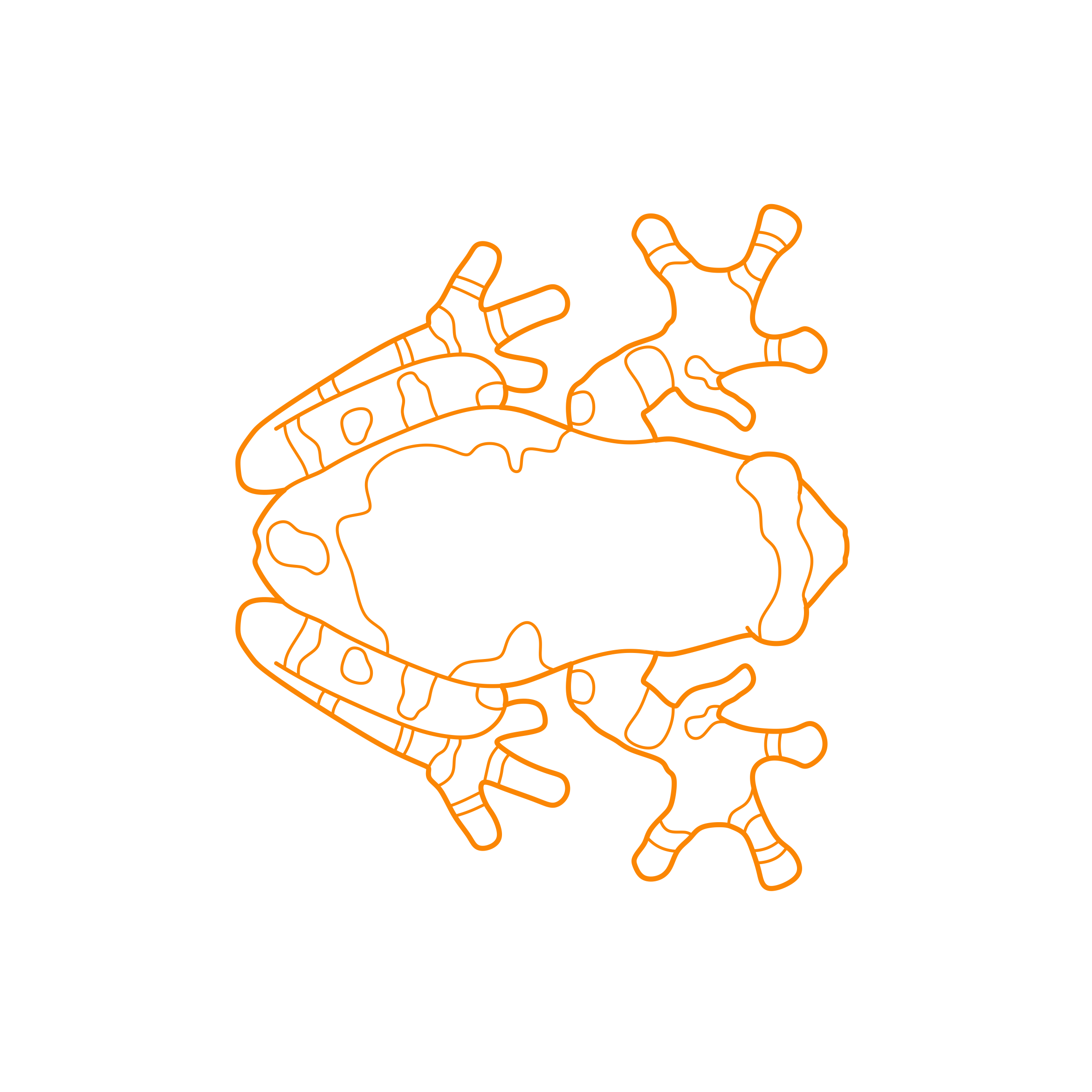 Animals Frogs Amazon Milk Frog Craft Design Svg File Free Vectors